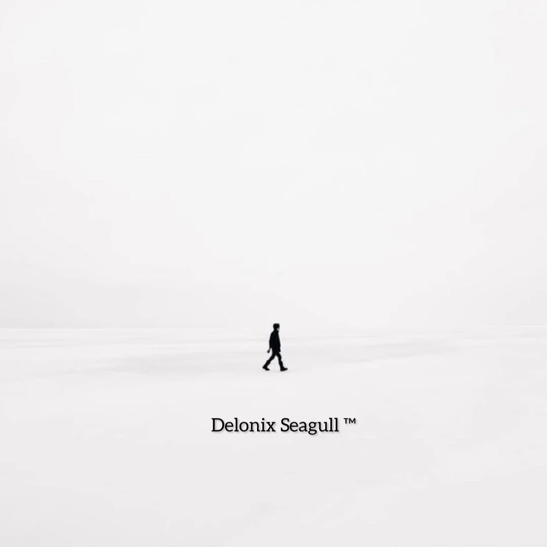 Delonix Seagull profile banner