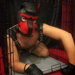 Hellhoundpupper's avatar