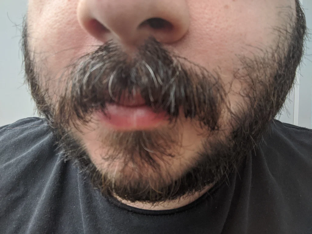 beard's avatar