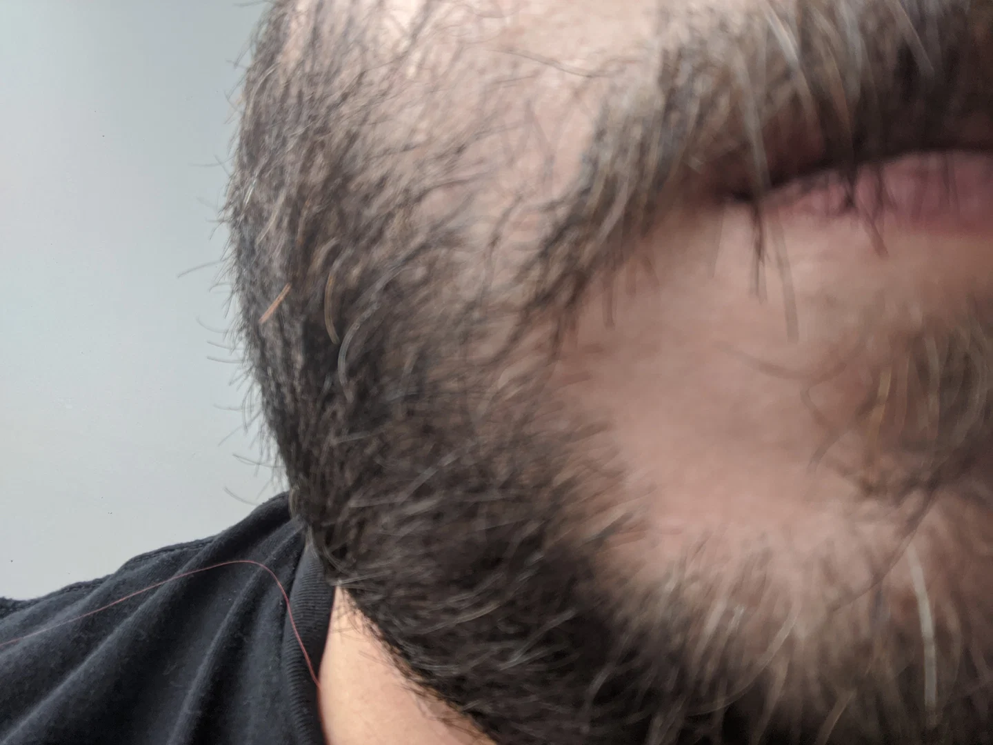 beard profile banner