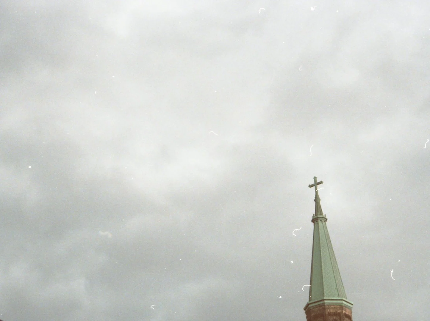 Sea Star profile banner