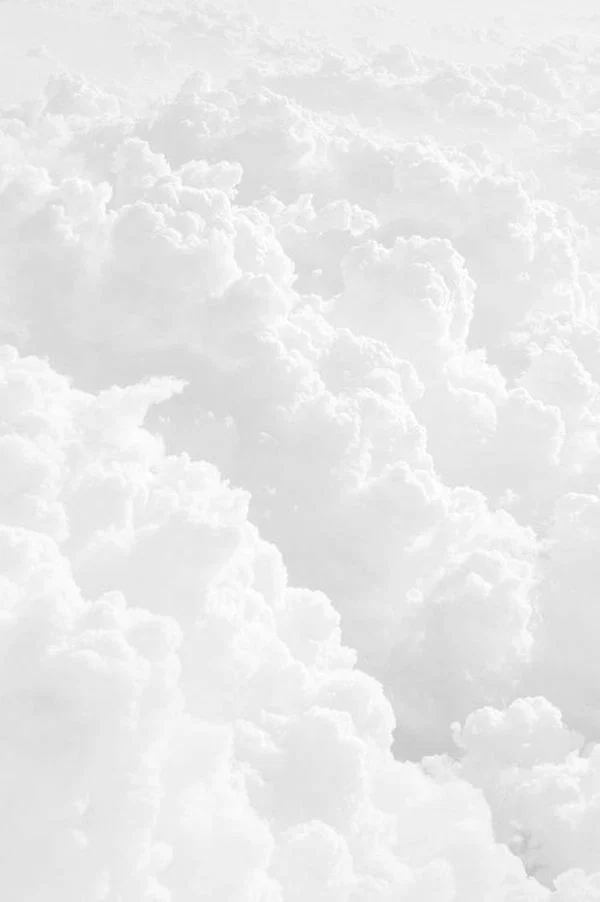 Cepeda Alejandro profile banner