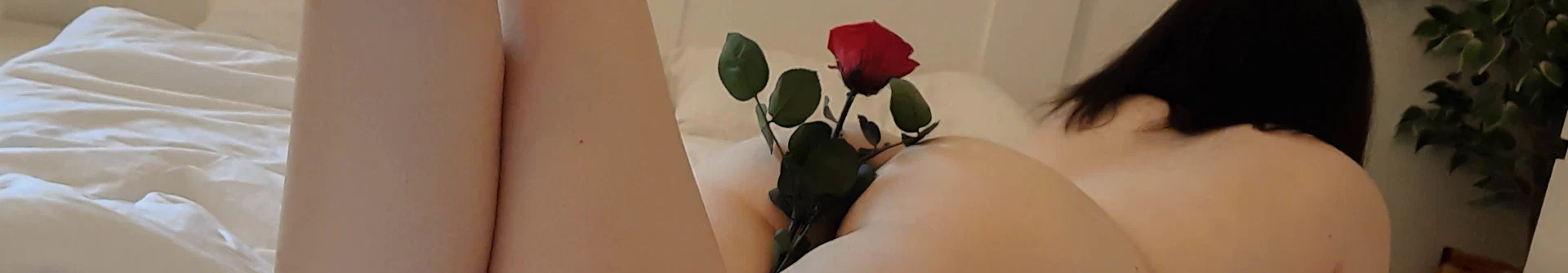 ♡ profile banner